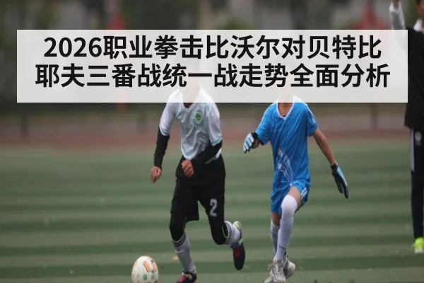 2026职业拳击比沃尔对贝特比耶夫三番战统一战走势全面分析